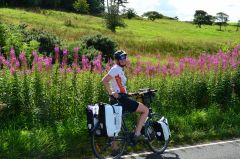 ubuntu_cycling_2017-08-13t11_39_25.jpg